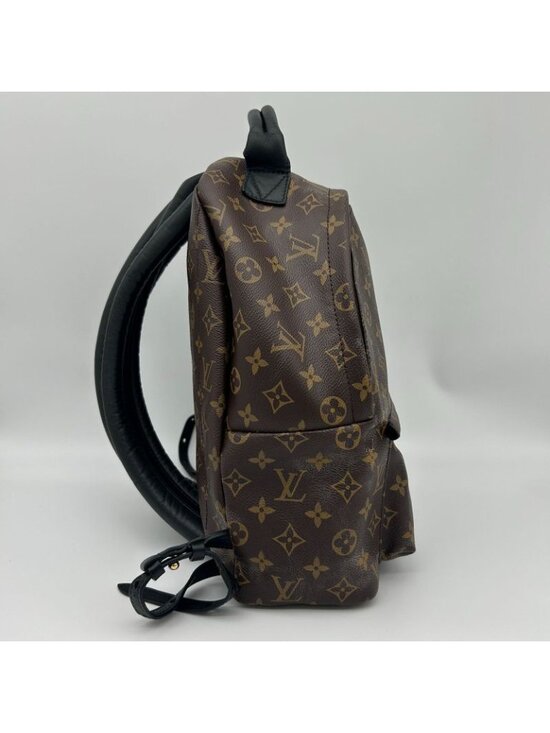 Louis Vuitton Palm Spring Backpack MM Sac main image 6